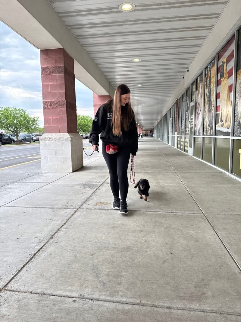 A handler walks a small black dog on a loose leash down the long covered walkway at the training facility